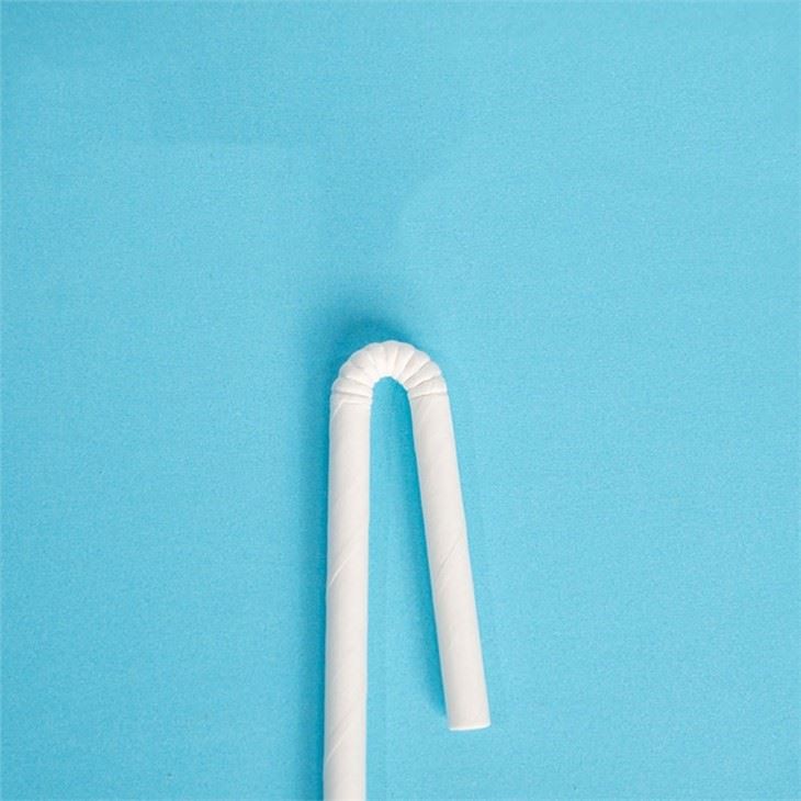 Bendy Paper Straws Wrapped In Plastic